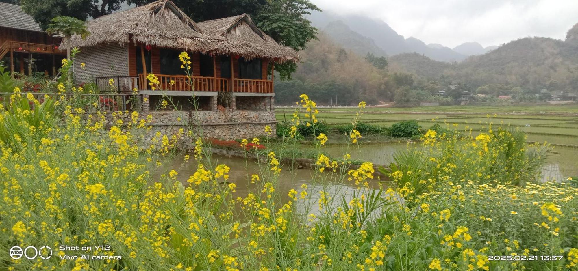 Mai Chau Hillside Homestay Ngoại thất bức ảnh